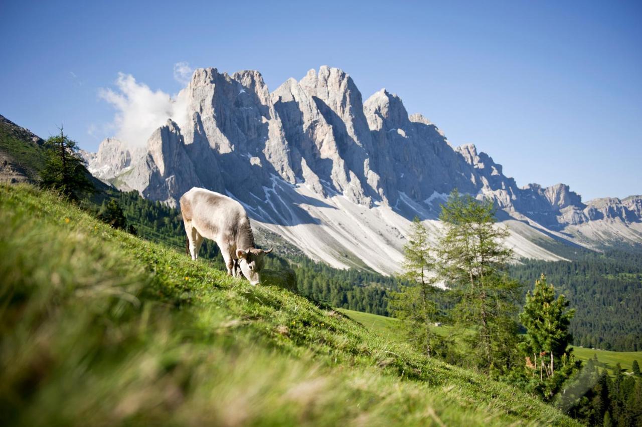 Raschoetzhof Funes  Dış mekan fotoğraf