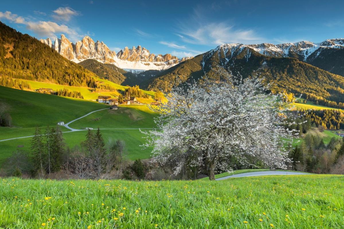 Raschoetzhof Funes  Dış mekan fotoğraf